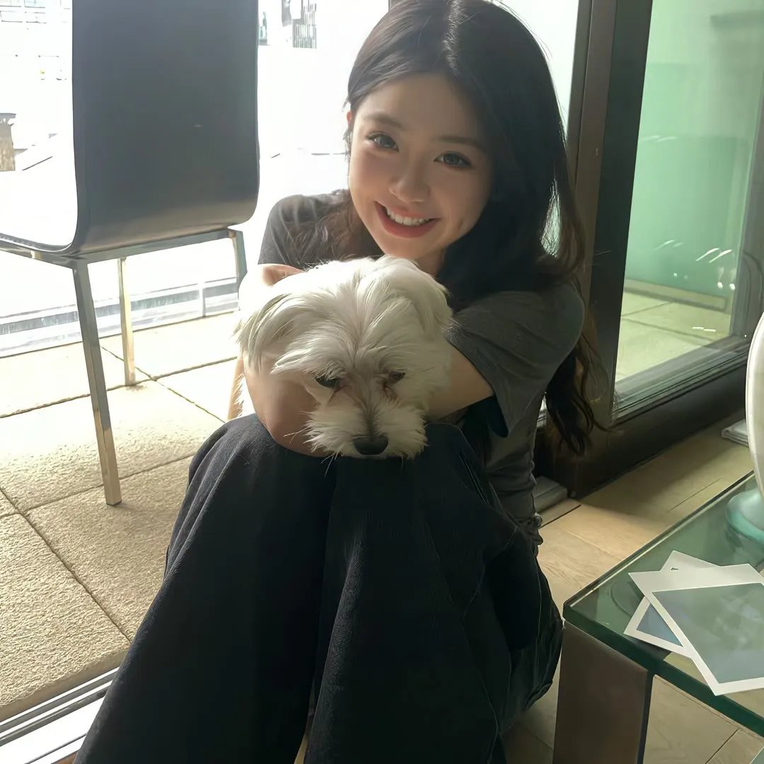 女人的面孔